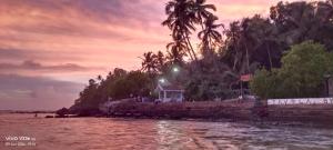 a house on the shore of a body of water at Luiza Guest House in Baga