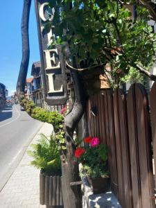ein Zaun mit Pflanzen und Blumen am Straßenrand in der Unterkunft Guest house Skabrin in Bansko