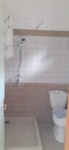 un bagno con WC e doccia di Theasea a Párga Altre 27 foto