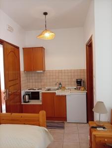 a kitchen with a sink and a stove top oven at Benigna Studios in Leipsoi