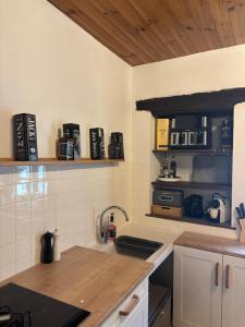 a kitchen with a sink and a counter top at Hélios ranch in Varennes-le-Grand +6 photos