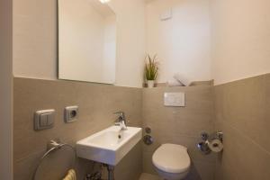 a bathroom with a sink and a toilet and a mirror at Bergschlössl - Eckwohnung 24 in Oberaudorf +3 photos