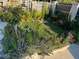 a garden with many different types of plants at XXL apartman Free parking in Visoko +9 photos