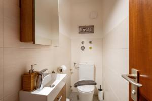 a white bathroom with a toilet and a sink at Bergschlössl Whg 3 in Oberaudorf