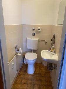 a small bathroom with a toilet and a sink at Bergschlössl - Massionettwohnung 22 in Oberaudorf +6 photos