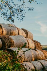 a row of hay bales sitting on top of rocks at The Ram Inn in Lewes