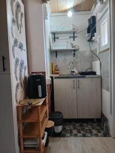 a small kitchen with a sink and a counter at Marin konak in Gornji Milanovac