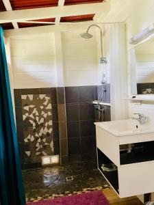a bathroom with a sink and a shower at Kaz Menard in Saint-Louis
