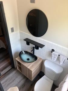 a bathroom with a sink and a toilet and a mirror at Keyes Motel in Arlington Heights