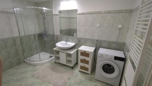 a bathroom with a sink and a washing machine at Apartma pri Boru in Ptuj