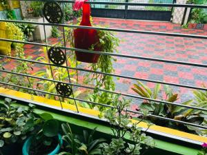 a balcony with a bunch of potted plants at JAJABAR Homestay in Dum Duma