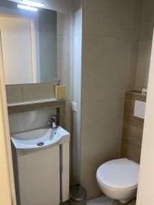 a small bathroom with a toilet and a sink at Cosy studio dans un quartier animé et pittoresque in Fribourg