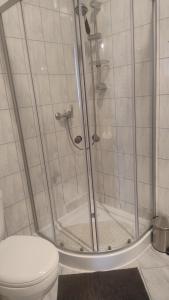 a bathroom with a shower with a toilet at Villa Górski Spokój in Srebrna Góra