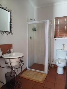 a bathroom with a shower and a toilet and a sink at Cosy Stay in Robertson