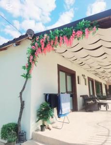 a patio with pink flowers on a building at YANNIS GUEST HOUSE in Costinesti