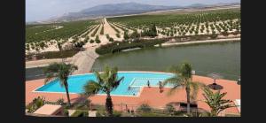 an aerial view of a swimming pool with palm trees at Condado de Alhama - Suchan living in El Romero