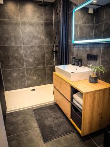 ein Badezimmer mit Waschbecken und Dusche in der Unterkunft SaaleLoft in Hirschberg + 29 Fotos
