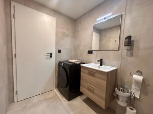 a small bathroom with a sink and a mirror at Apartmán podlesí in Havířov
