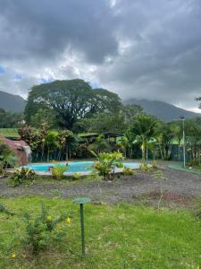 a resort with a swimming pool with a tree in the background at Chongos Place in Fortuna