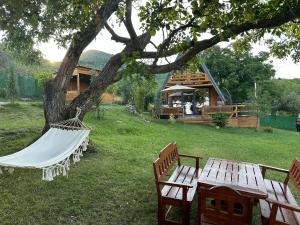two benches and a hammock under a tree in a yard at Villa Venus in Ferizaj