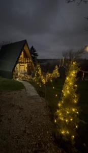 a house with christmas lights in a yard at night at Villa Venus in Ferizaj +10 photos