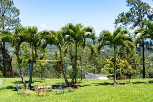 a park with palm trees and a swing at Altura secreta in Jarabacoa
