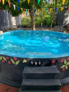 two penguins are sitting in a pool of water at Villa Naranja AYD in Paredón