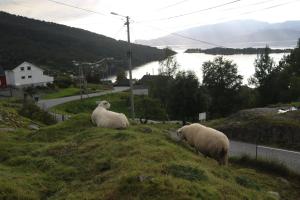 Landskap nær gjestgiveriet