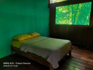 a bed in a green room with a window at Centro Ecoturístico Cueva del Tejón in Champa