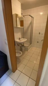 a bathroom with a toilet and a shower and a sink at Monteurwohnung Hohenstadt in Hohenstadt