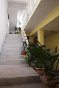 Fotografie z fotogalerie ubytování Apartments Viktorija v destinaci Starigrad-Paklenica