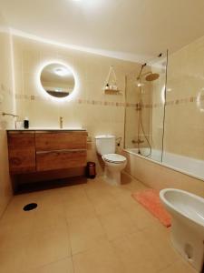a bathroom with a toilet and a shower and a sink at El Llambrion in Posada de Llanes +16 photos