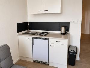 a small kitchen with a sink and a stove at Worms City Suites Löwengasse in Worms