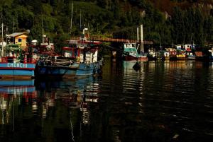 a group of boats are docked in the water at Comfort, Innovation, Style, WiFi, Gym in Coihaique