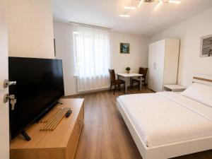 a bedroom with a bed and a flat screen tv at Zum Rheinberg Komfort Studio in Braubach