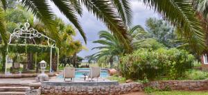 einen Pool mit zwei Stühlen in einem Garten mit Palmen in der Unterkunft Ouhave Country Home in Imkerhof