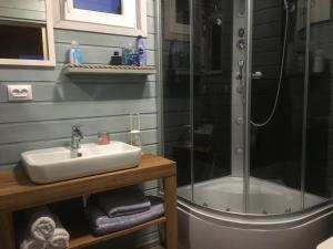 a bathroom with a shower and a sink at Houseboat Przystań Spokoju in Ślesin