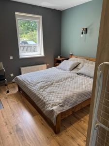 a bedroom with a large bed with a window at Lielupes Apartments Jurmala in Jūrmala