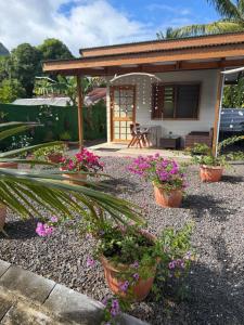 a house with potted plants in front of it at Orivai Lodge in Fare