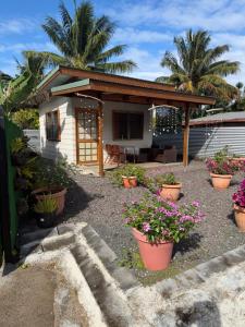 a house with potted plants in front of it at Orivai Lodge in Fare