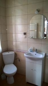 a bathroom with a toilet and a sink and a mirror at Stary Dwór in Szczawnica +16 photos
