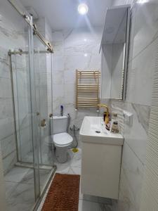 a bathroom with a shower and a toilet and a sink at Apartament in Batumi