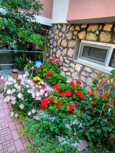 a garden of flowers in front of a window at Vila Angeli in Techirghiol