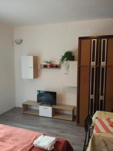 TV a/nebo společenská místnost v ubytování Apartment Tome