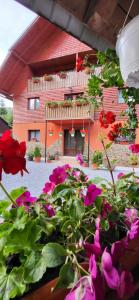 a bunch of flowers in front of a building at Casa Răzvan in Arieşeni