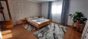 a bedroom with a bed and a window and a rug at Casa Răzvan in Arieşeni +8 photos
