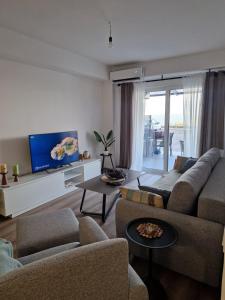 a living room with a couch and a tv at Apartment Dalas 2 Star Dojran in Star Dojran