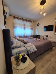 a hotel room with two beds and a table at Grey Apartments Zaječar in Zaječar
