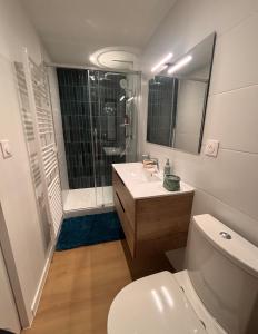 a bathroom with a toilet and a sink and a shower at Cozy & air-conditioned studio in Vannes