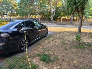 a car is being hooked up to a tree at Chrám Ticha in ľubá